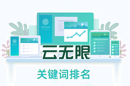 seo整站排名